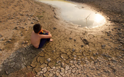 Ecoansiedad: qué es y cómo enfrentar la angustia por el cambio climático