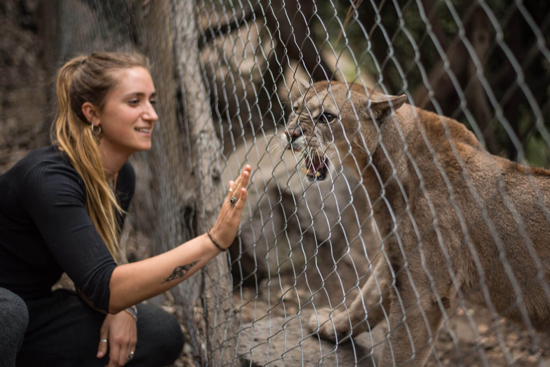Kendra Ivelic del Refugio Animal Cascada: “Me rehabilito a mí misma a través de los animales”