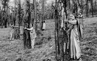 Movimiento Chipko: las mujeres que abrazon árboles para salvar los bosques del Himalaya