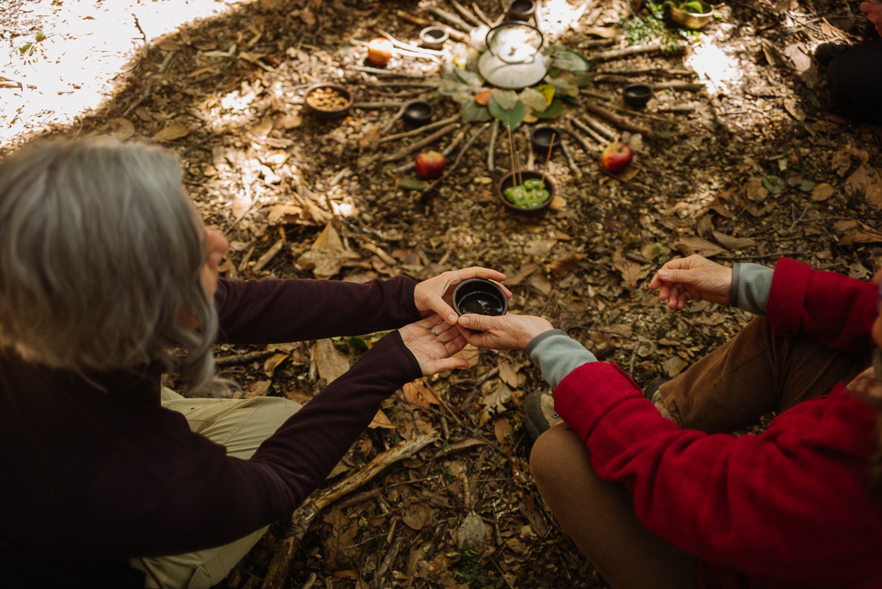 Terapia de bosque: sanar en la naturaleza para sanar la naturaleza
