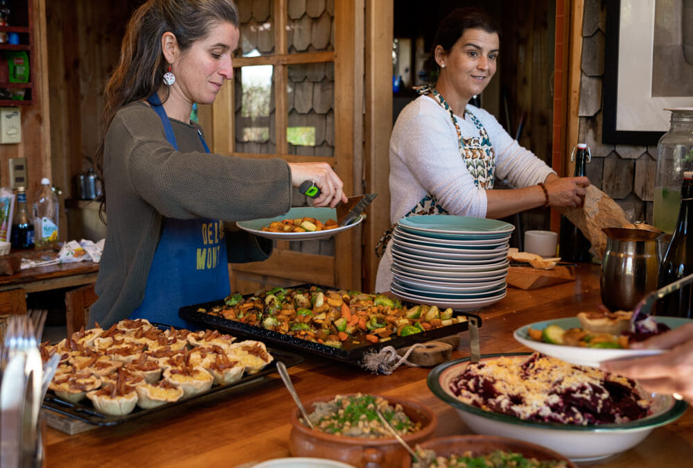 Del Monte a la Cocina: recolección, ilustración y cocina de alimentos silvestres del sur de Chile