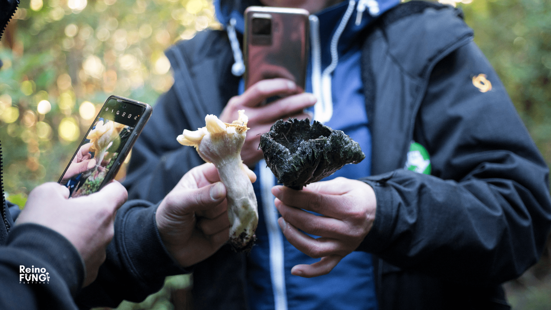 Festival Reino Fungi: un evento para conectarte con la naturaleza a través de los hongos
