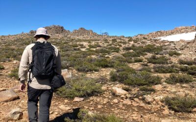 La difícil pero admirable tarea de los guardaparques: el ejemplo de un defensor de la naturaleza en la Reserva Natural Altos de Cantillana