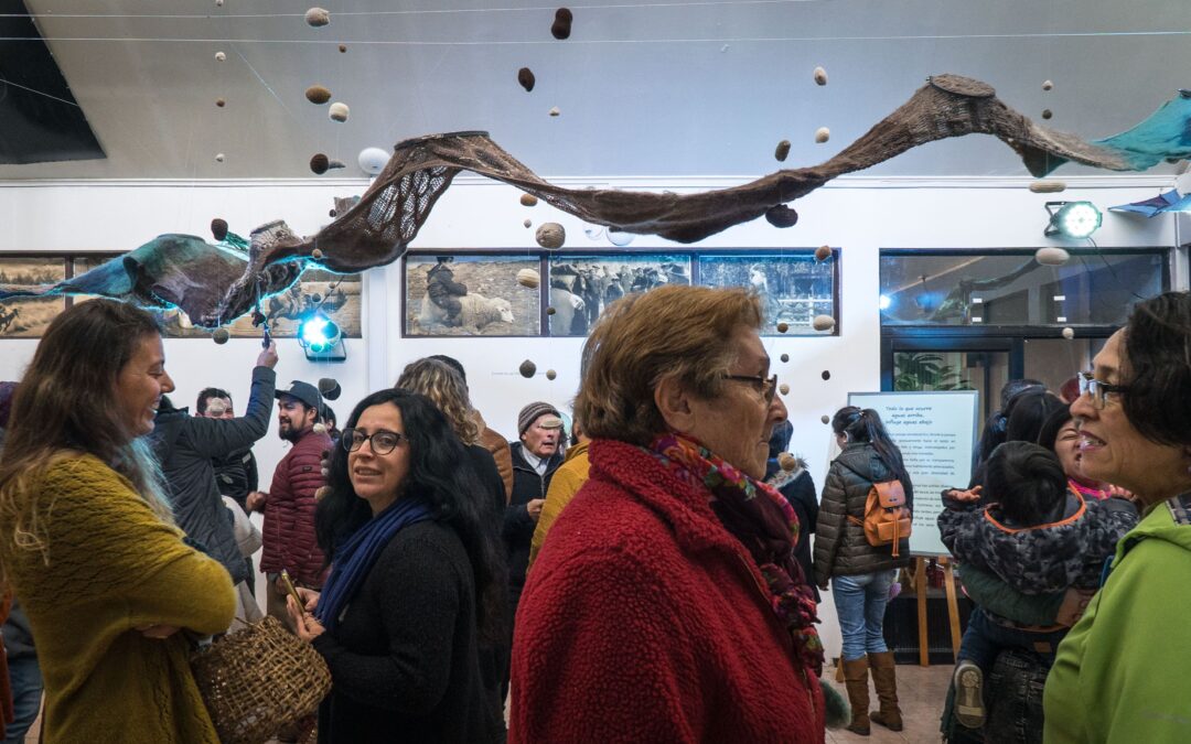 Desde Cochrane a la Bienal de Arte Textil:  un río tejido que cruza las fronteras de arte y ciencia