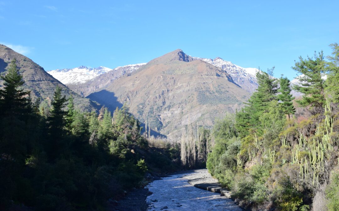 “El Cajón del Maipo se está desertificando”: activistas medioambientales ven con desesperanza el futuro de la zona