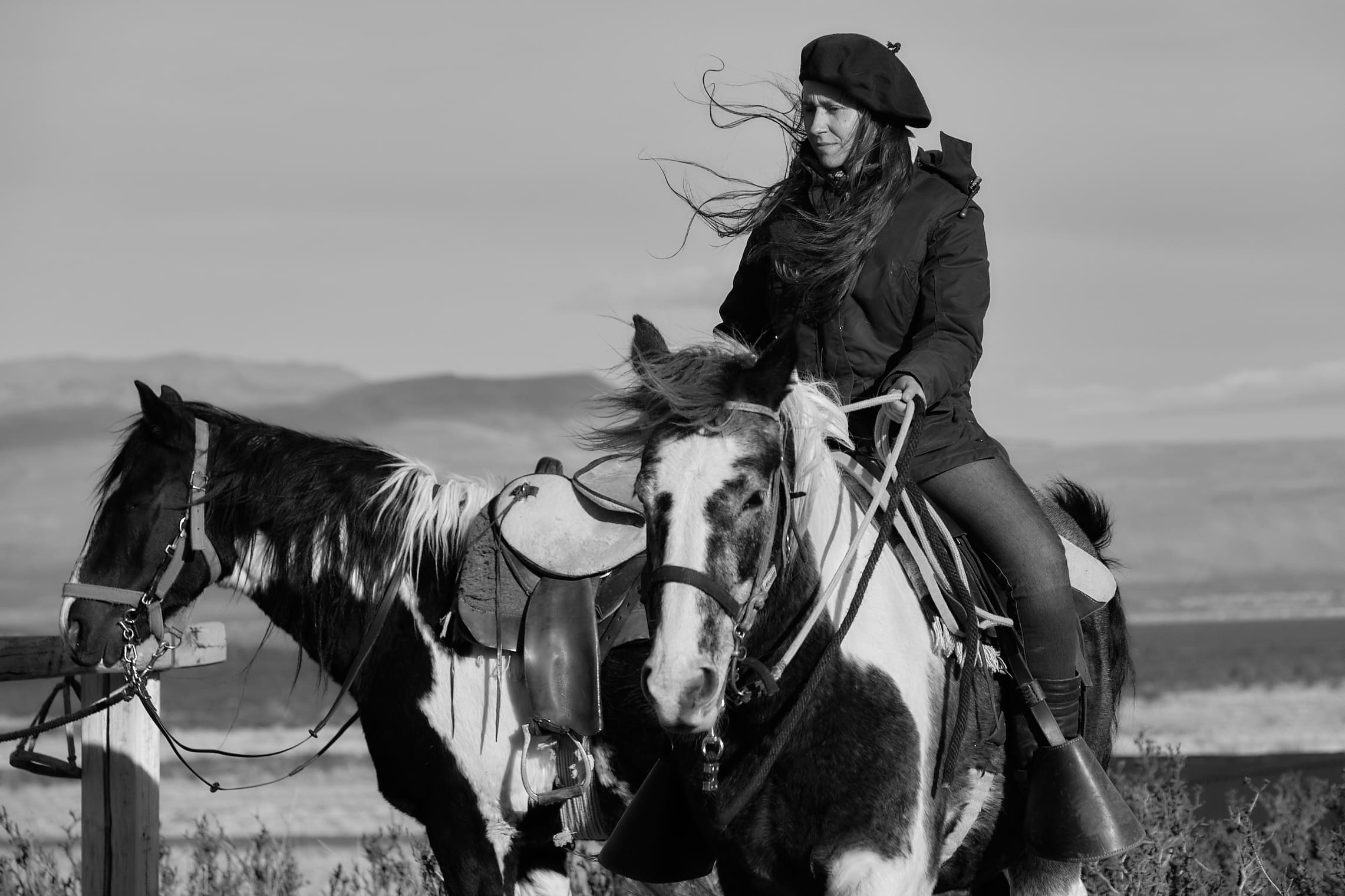 Dania_horse
