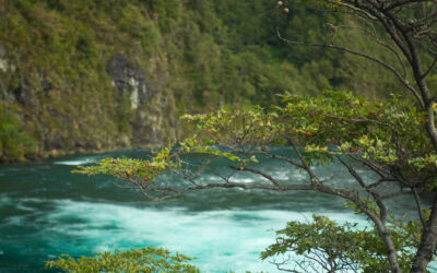 La creación del Parque Nacional Vicente Pérez Rosales: un legado de conservación y turismo