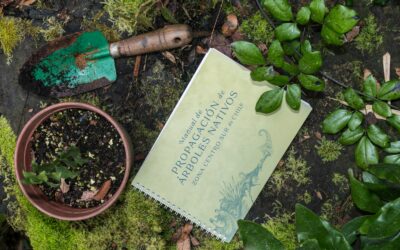 Preservando la herencia natural de Chile: conoce la Guía de Propagación de Árboles Nativos