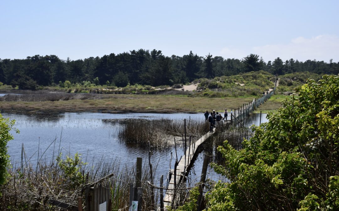 Por primera vez, el Laboratorio de Estudios Ecosistémicos de la UVM participó del 23° aniversario de la Confederación de Estudiantes de las Ciencias Ambientales de la Educación Superior para analizar la importancia de los recursos hídricos en Chile