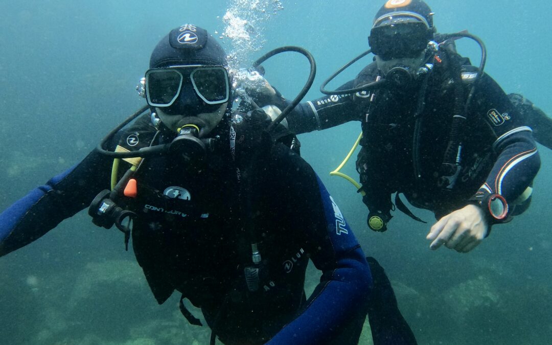 Bucea en la bahía mágica de Quintay con Austral Divers: Ecosistema marino único, arrecifes artificiales y biodiversidad protegida
