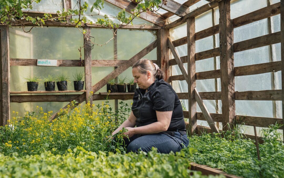 Proyecto 100K Llanquihue: Sostenibilidad y Experiencias Gastronómicas Locales.