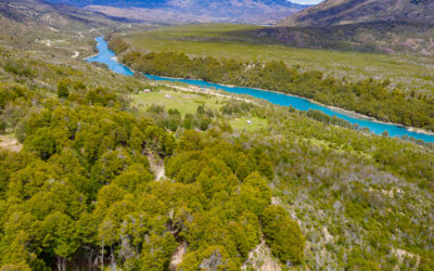 Festival de Conservación Vista Baker 2024: llega la 2da versión del evento que nos invita a  disfrutar de la naturaleza y el deporte en la Patagonia