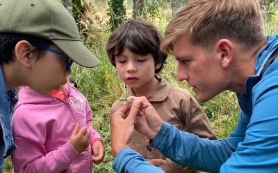 Cristóbal Sprätz y su gran misión de cambiar el miedo por el respeto a los insectos