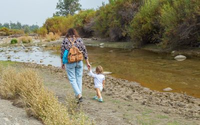 El río Mapocho es mucho más que sus prejuicios: “Pensamos que, porque un río en algún lugar del mundo es cristalino, acá debiese ser igual”