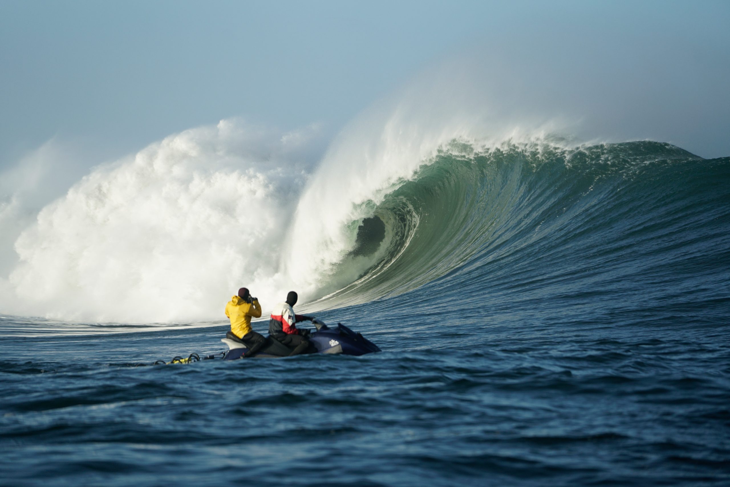 Rupestre y sus cachorros