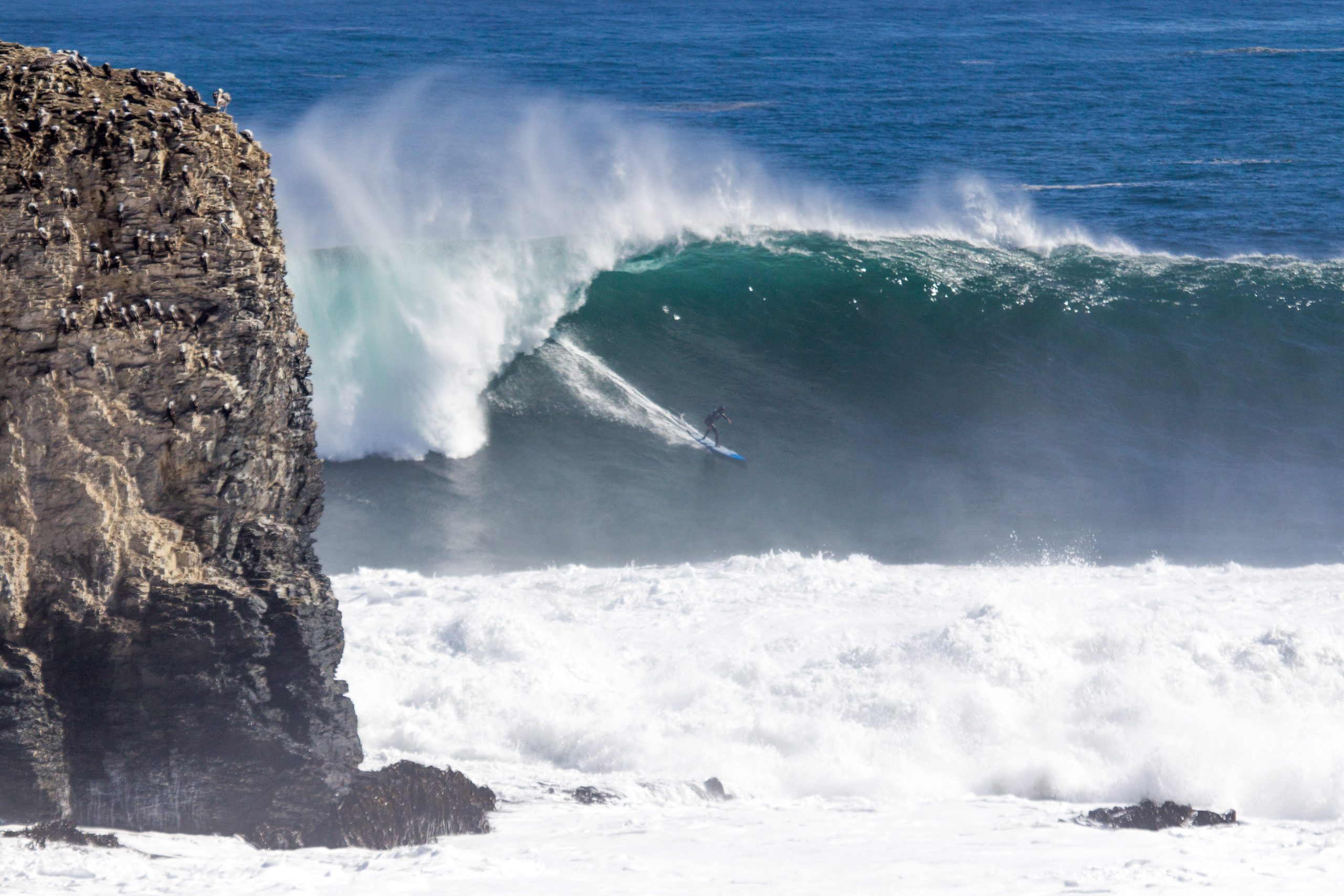 Rupestre y sus cachorros