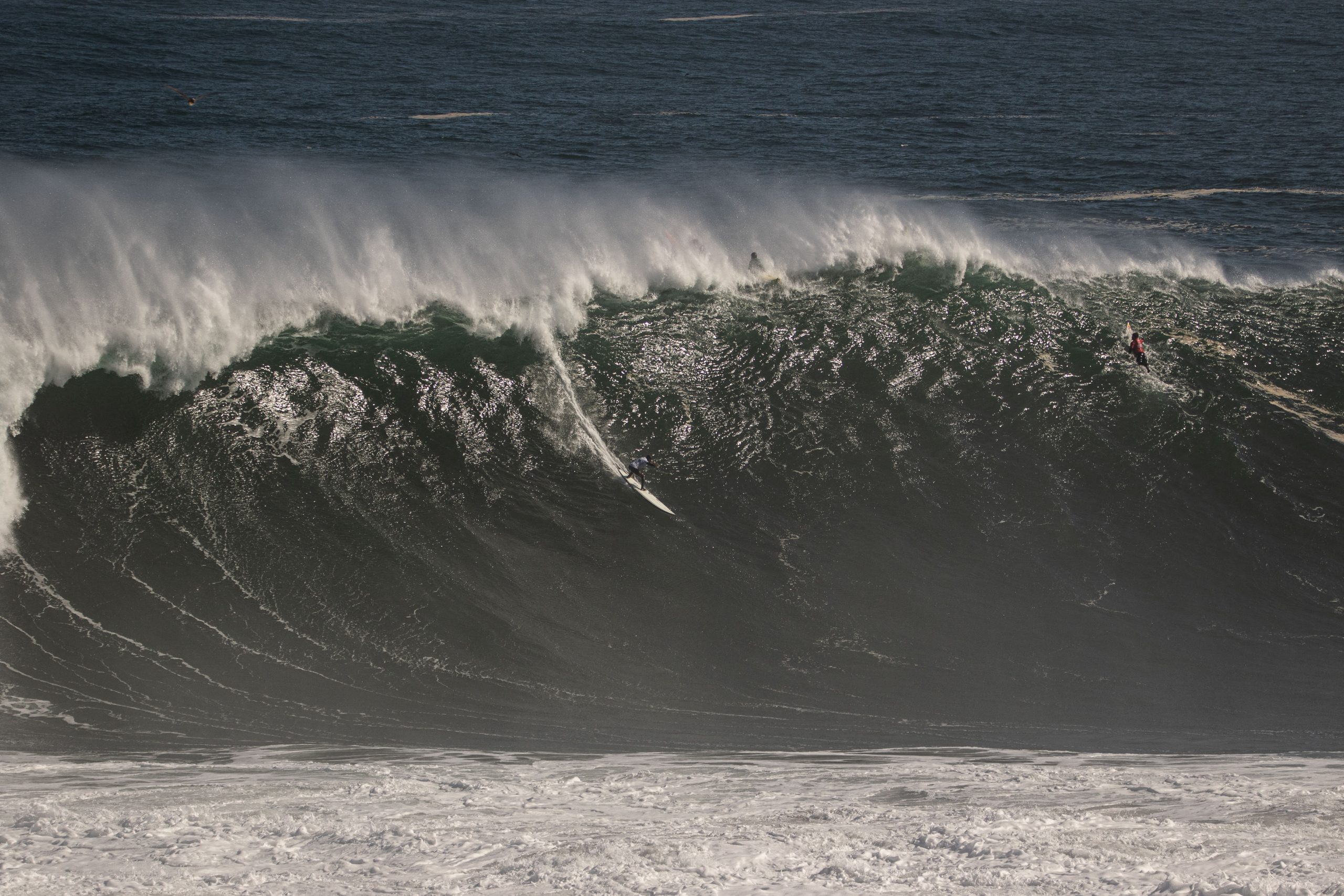 Rupestre y sus cachorros