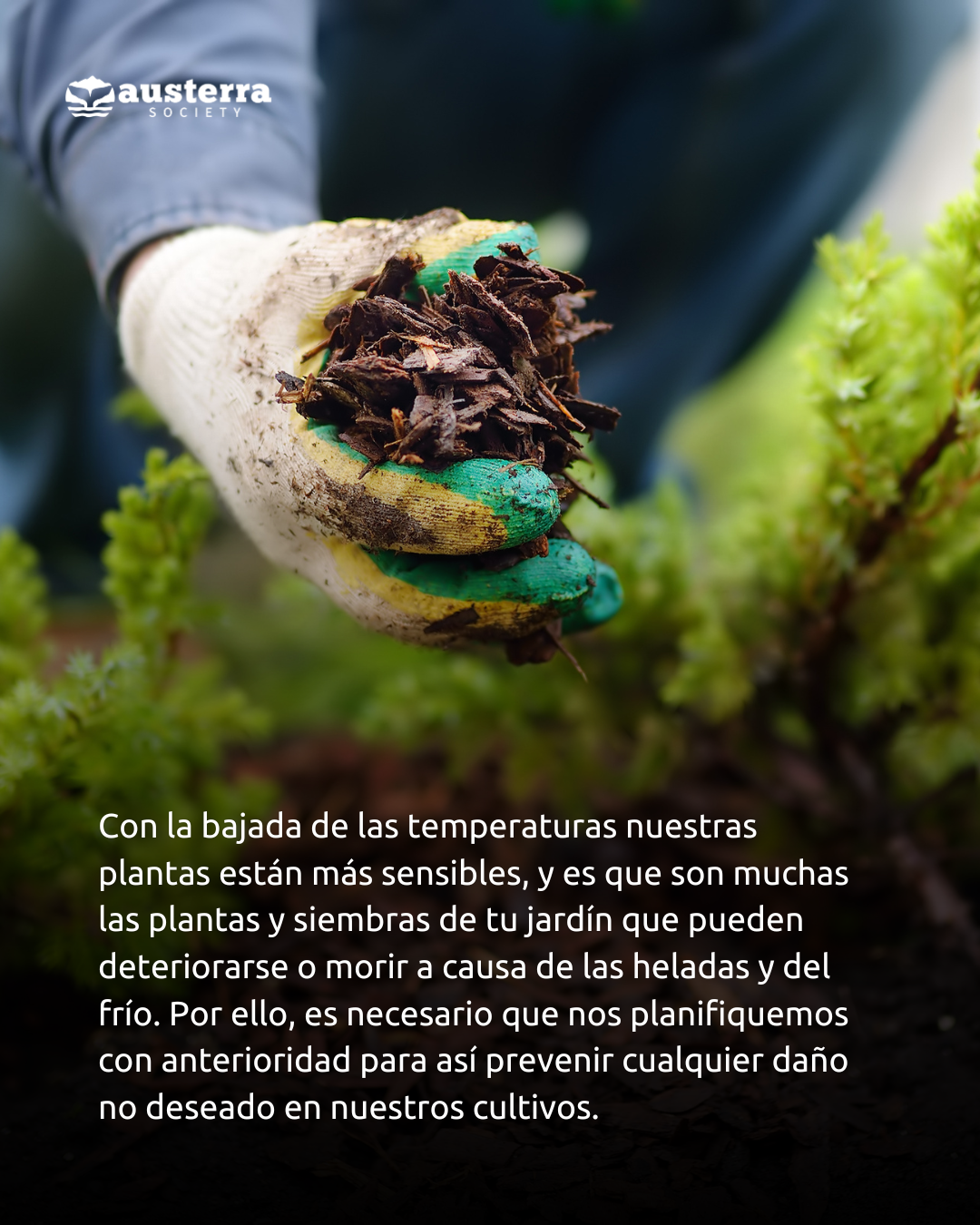 Huemul como figura de protección / Francisco Espildora