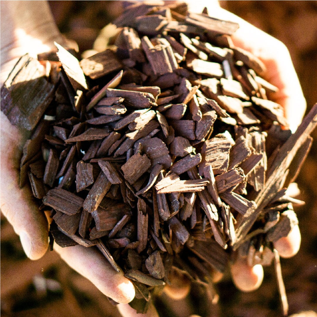 Huemul como figura de protección / Francisco Espildora