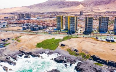 Prohibieron ramadas cerca del humedal la Chimba: un logro para la biodiversidad