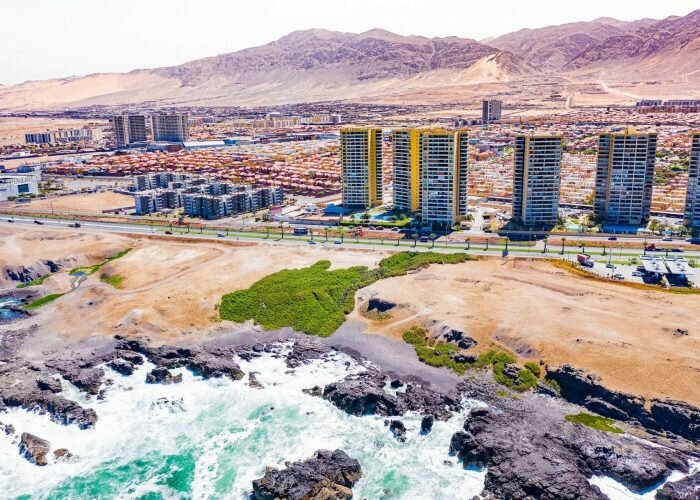 Prohibieron ramadas cerca del humedal la Chimba: un logro para la biodiversidad