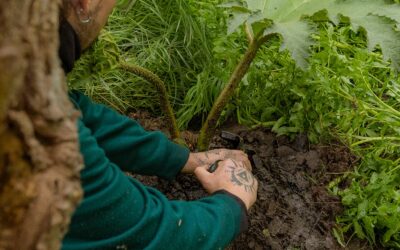 ¡Vuelven las nalcas al Río Mapocho! Fundación Mapocho Vivo busca restaurar el icónico río la capital chilena