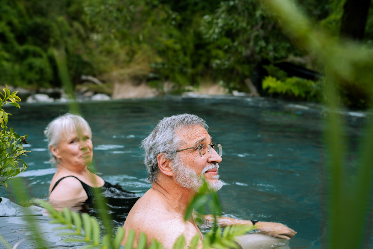 Parque Termal Botánico abrirá sus puertas a 12 KM de Pucón: el primer ...