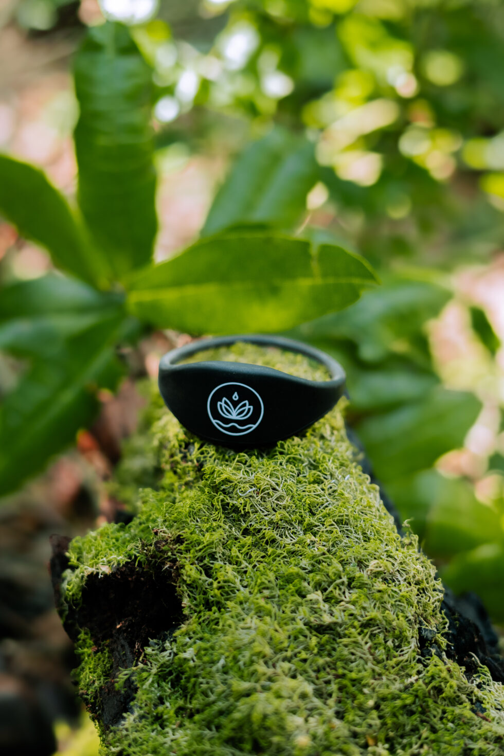 Parque Termal Botánico abrirá sus puertas a 12 KM de Pucón: el primer ...