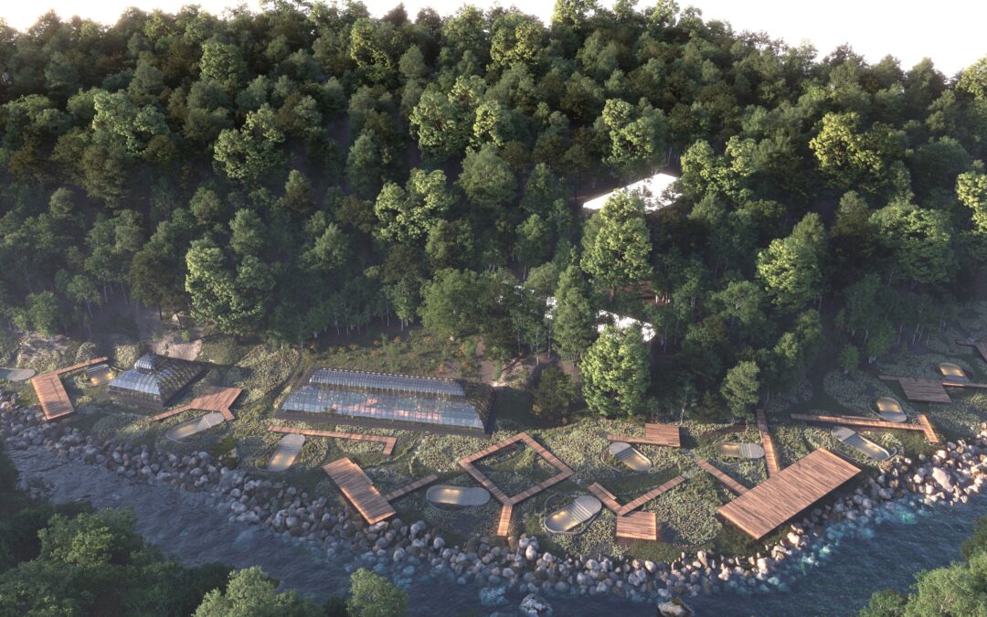 Parque Termal Botánico abrirá sus puertas a 12 KM de Pucón: el primer jardín botánico de la Araucanía y las primeras termas ecológicas del mundo