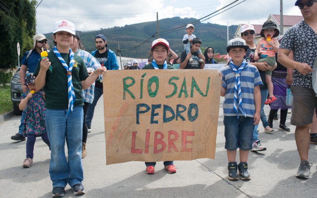 El río San Pedro enfrenta una nueva amenaza: empresa salmonera pone en riesgo su ecosistema y a la comunidad