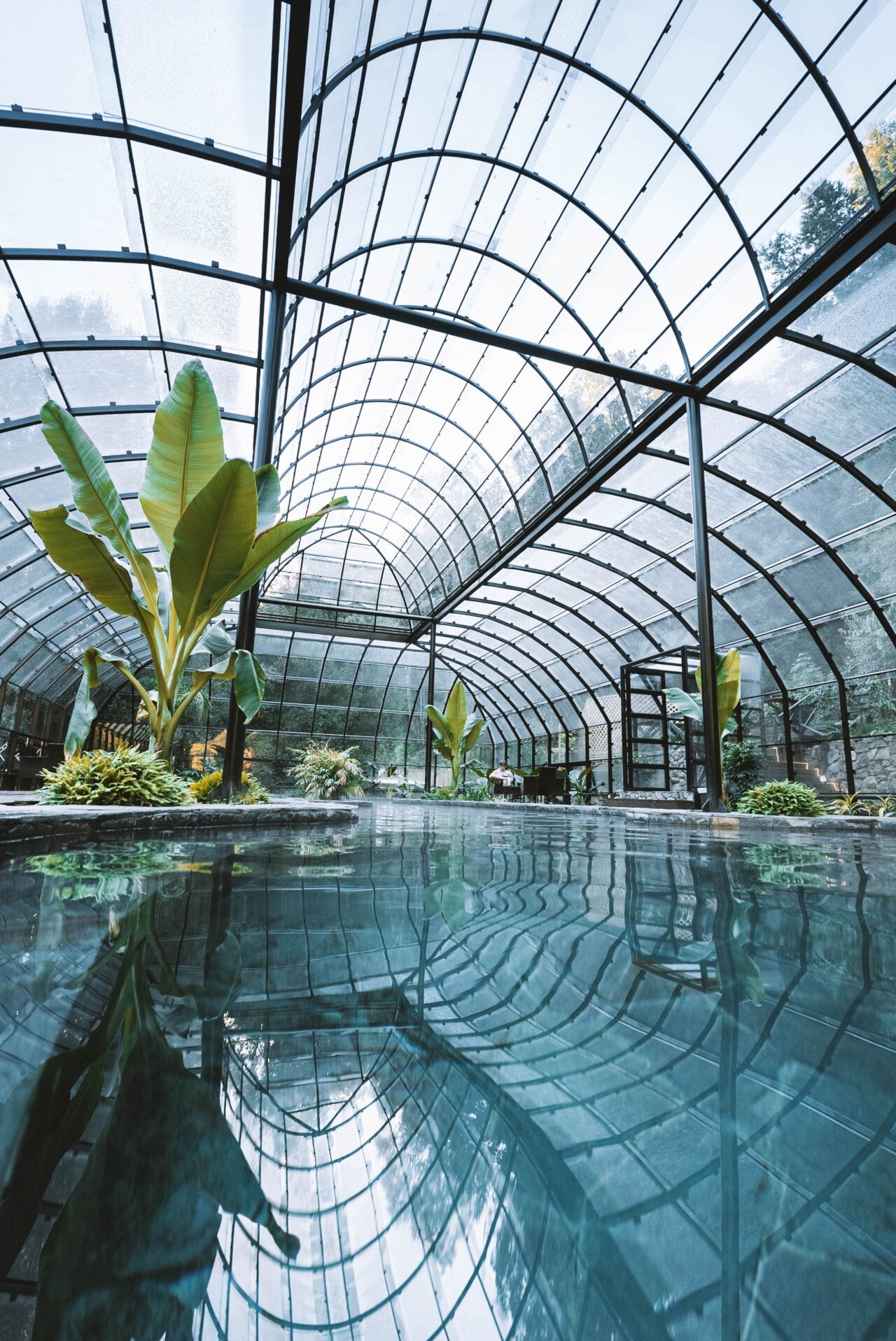 Redefiniendo el turismo de bienestar en Chile: la revolución del Parque ...