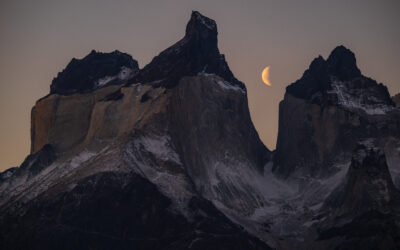 ¡Hito ambiental! Luego de más de una década de espera, el Servicio de Biodiversidad y Áreas Protegidas comienza a operar en Chile