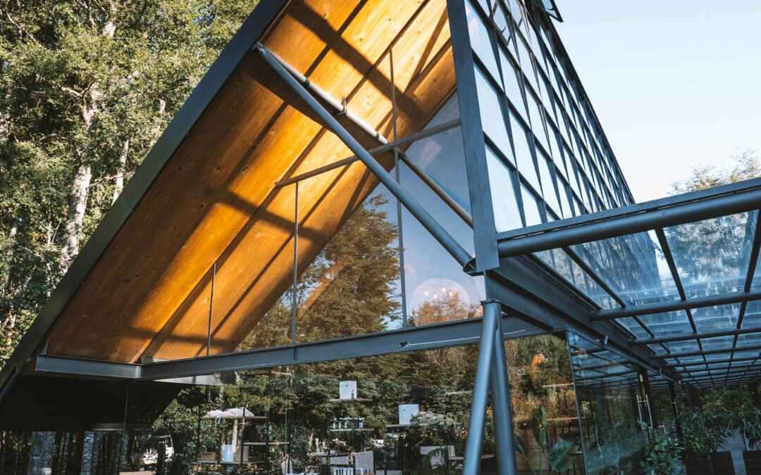 ¡Un excelente panorama para las vacaciones de invierno! Descubre el primer jardín botánico con termas en La Araucanía