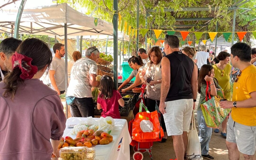 Sin monocultivos ni intermediarios: así funciona la Ecoferia de La Reina, un modelo comunitario que une alimentos orgánicos, vínculo humano y conciencia ambiental