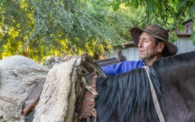 ¡Increíble! Proyecto que rescata caminos ancestrales arrieros del centro sur de Chile es finalista al Mountain Protection Award 2025¡Increíble! Proyecto que rescata caminos ancestrales arrieros del centro sur de Chile es finalista al Mountain Protection Award 2025