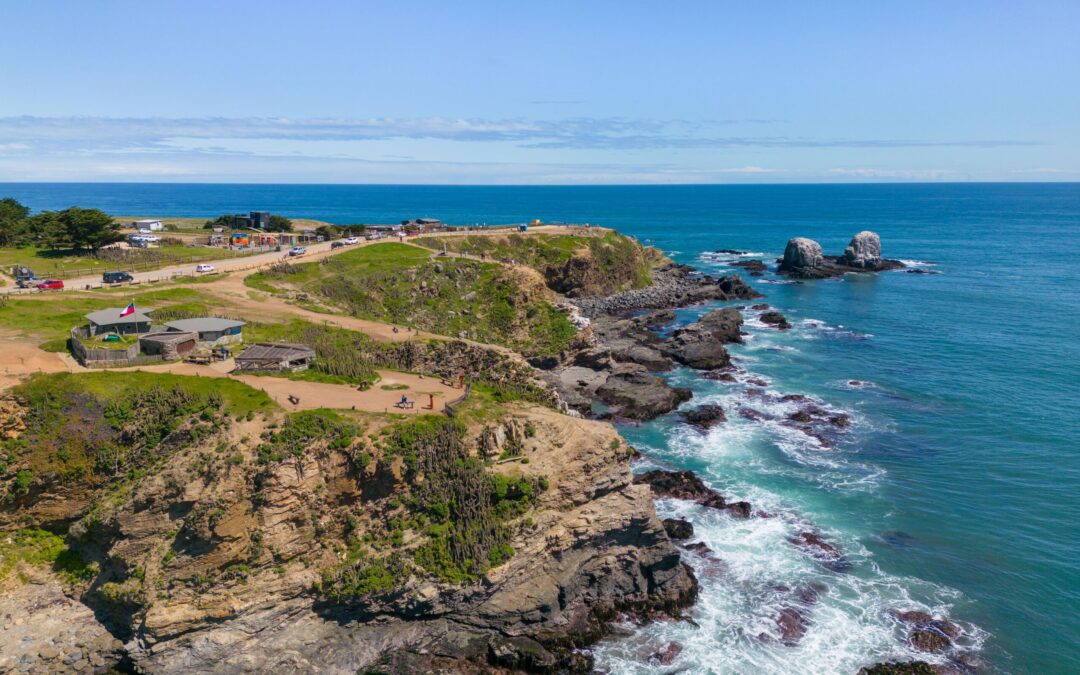 La competencia de olas grandes Lobos por Siempre cierra su tiempo de espera con un fuerte llamado a la conservación