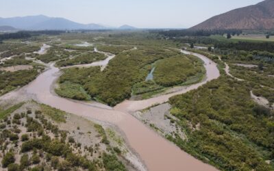 ¡Buenas noticias! Chile reconoce al Río Maipo como el humedal urbano más grande del país