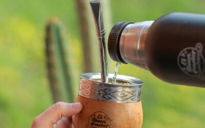Investigadores descubren que el mate ofrece beneficios para la salud femenina