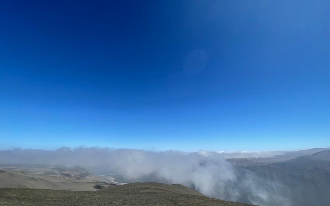 Agroniebla, la innovadora aplicación que convierte la niebla del desierto de Atacama en recurso hídrico, se lanza este 11 de octubre