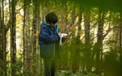 Sanar en el agua, aprender del bosque: el modelo de bienestar regenerativo de un parque termal que se suma a un proyecto educativo para concientizar