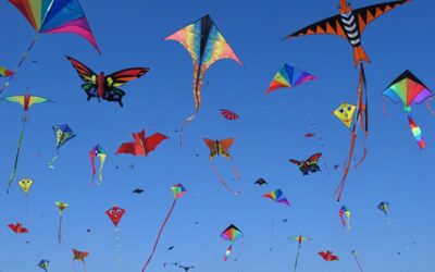 En plena primavera, la Red de Observadores recuerda la campaña #RecogeTuHilo para proteger a las aves del impacto silencioso de este material