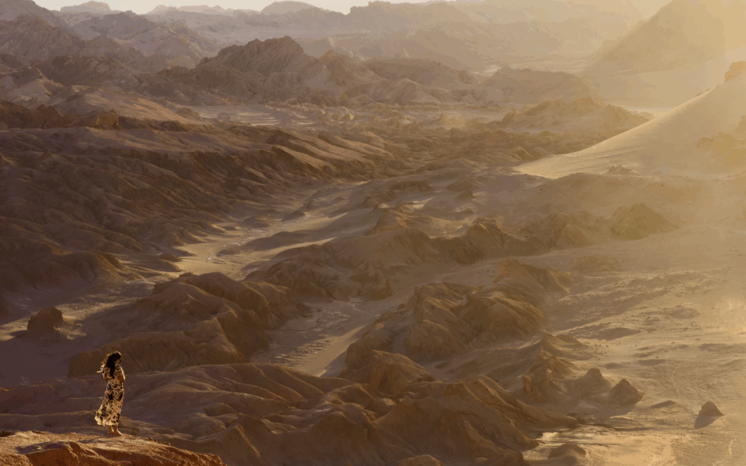 Los Ojos del Territorio: Despertar en Sueño