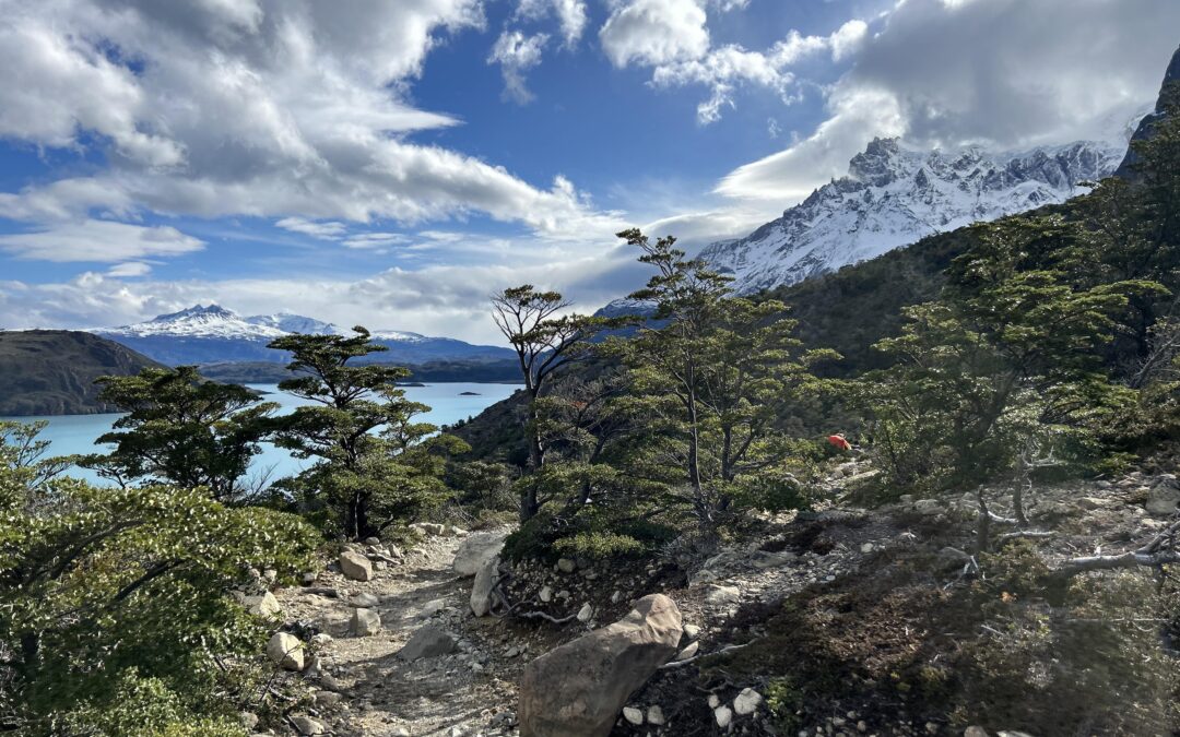 Más allá del Circuito W: cómo el turismo de naturaleza redefine la experiencia en la Patagonia chilena con un modelo consciente de conservación y desarrollo local