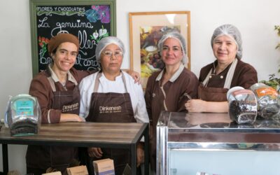 Dinkenesh, la chocolatería de enfoque sustentable donde cada compra incentiva la restauración del bosque nativo gracias a una alianza con Lopa y Núcleo Nativo