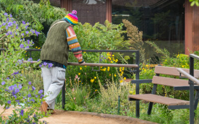 Investigación entrega evidencia contundente sobre los efectos terapéuticos de los jardines sanadores en hospitales públicos de Chile