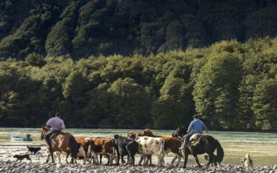 Milenka Heran, la fotógrafa que retrató el arreo que revive la Patagonia: un relato de memoria, territorio y pertenencia