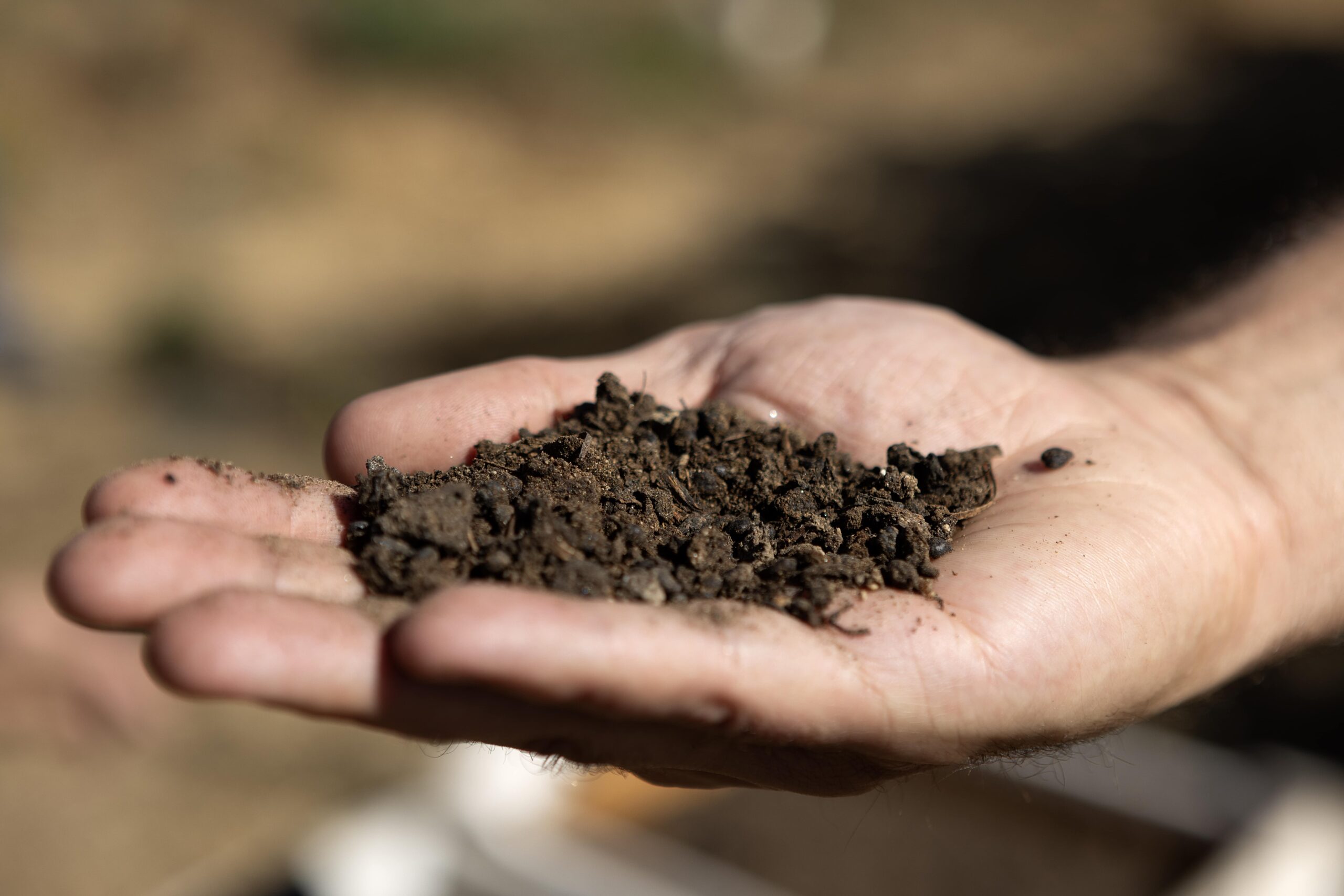 El fundador de Patagonia, Yvon Chouinard, donó la propiedad de la compañía para combatir la crisis climática global