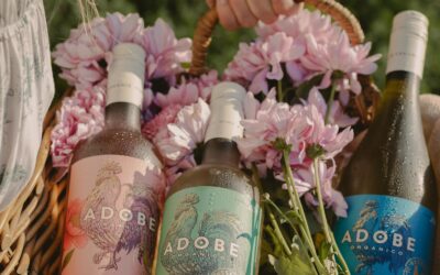 De 50 a 1.000 hectáreas: el salto orgánico de Viña Emiliana