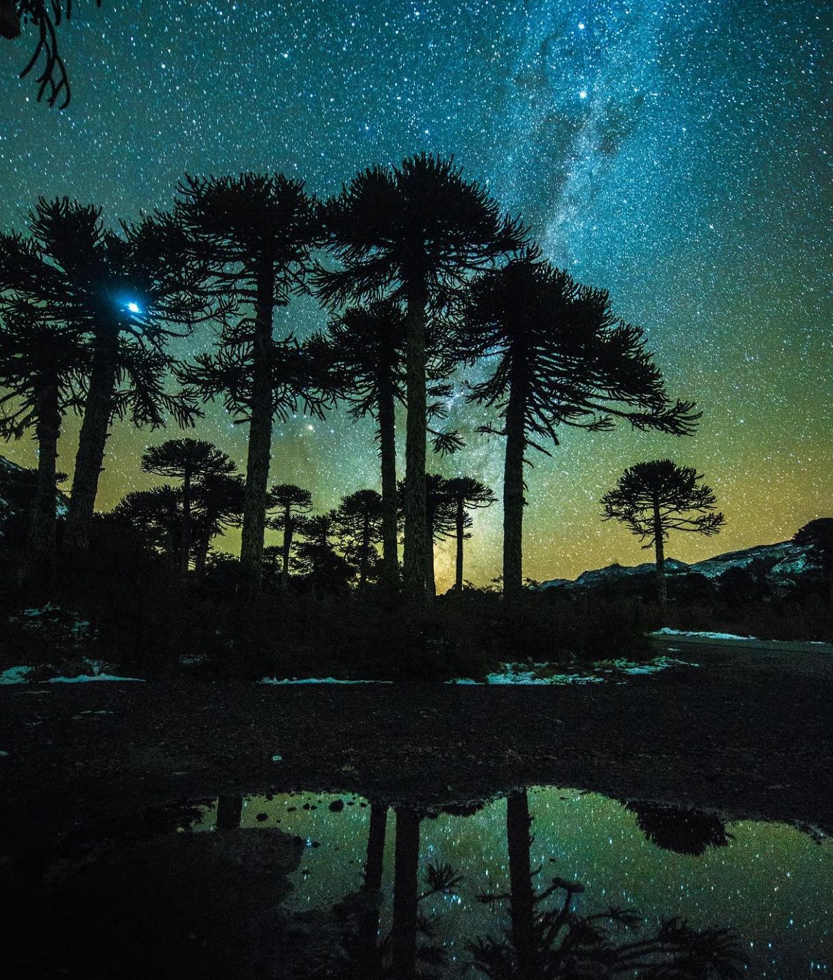 El fundador de Patagonia, Yvon Chouinard, donó la propiedad de la compañía para combatir la crisis climática global