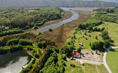 ¡La primera Ciudad Humedal de Latinoamérica! El reconocimiento internacional 2025 de Valdivia que lo sitúa como un referente ambiental